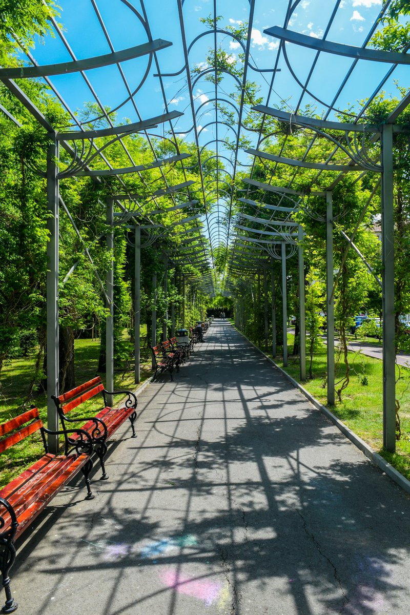 TracyHart795826's tweet photo. Le soleil brille, les oiseaux chantent et il fait beau !  Aujourd'hui, j'ai profité du magnifique Parc de l'Orangerie pour un pique-nique ensoleillé avec des amis. Un moment de détente parfait pour oublier le stress du quotidien. 

#picnic #parcdelarangerie #beautemps #amitié https://t.co/7tmDnRrryD