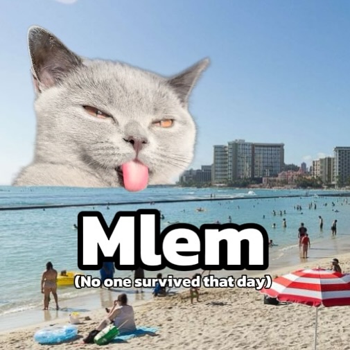 Catsillyness's tweet photo. Mlem https://t.co/Ow3MQaxpta