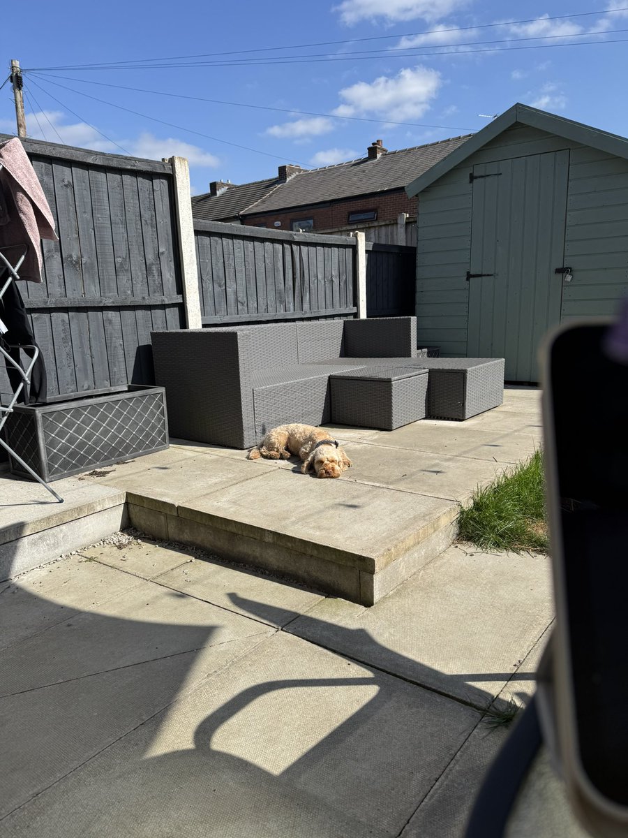 First day of 2025 working from the garden… floofster is certainly not complaining about her job as chief sunbather…