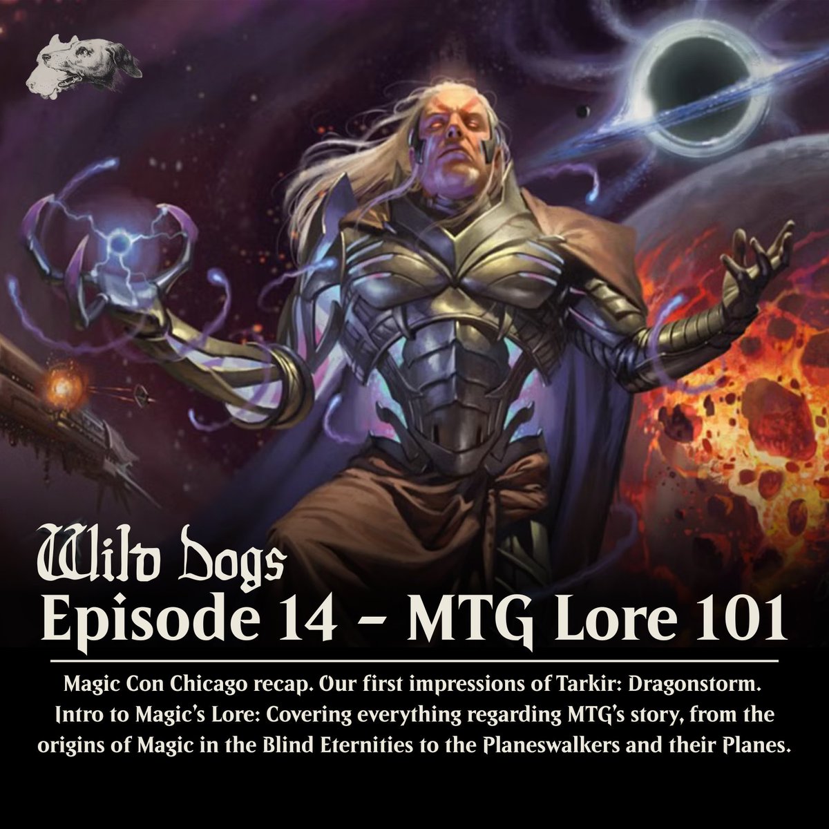 Wild Dogs tweet media