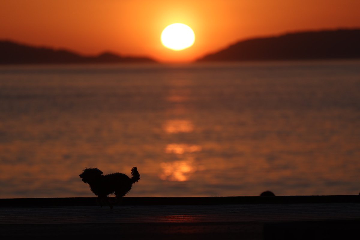 AlbertoSxenick's tweet photo. 09ABRIL2025
#Samil #Vigo 21:15 h 24°C
Nos ha quedado una previa estupenda de la semana santa. https://t.co/b3BGzs66dk