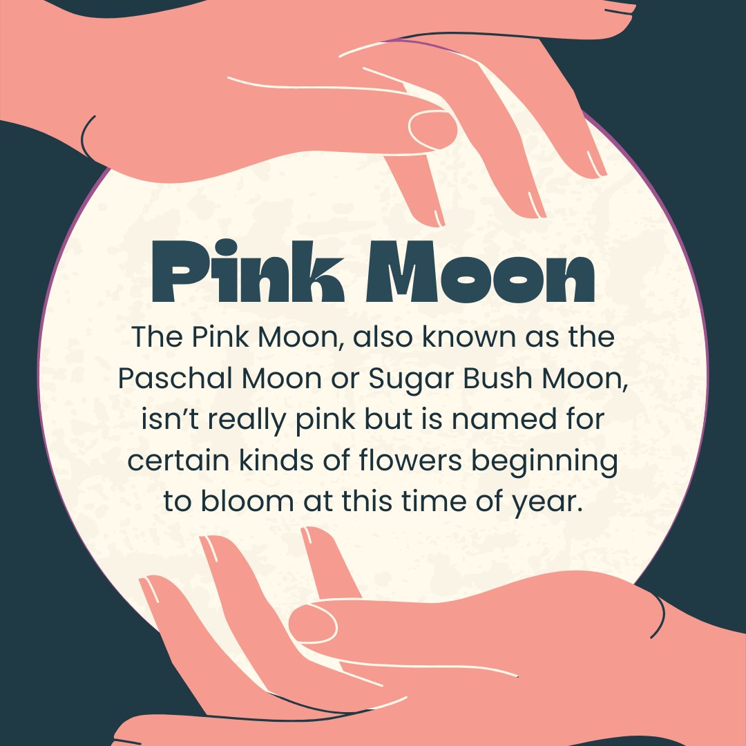 nuHPaW's tweet photo. Pink Moon

Celebrate the full moon this evening with some reflection on what is springing forth in you during this season of growth and beginnings https://t.co/xh3Ug88N0a