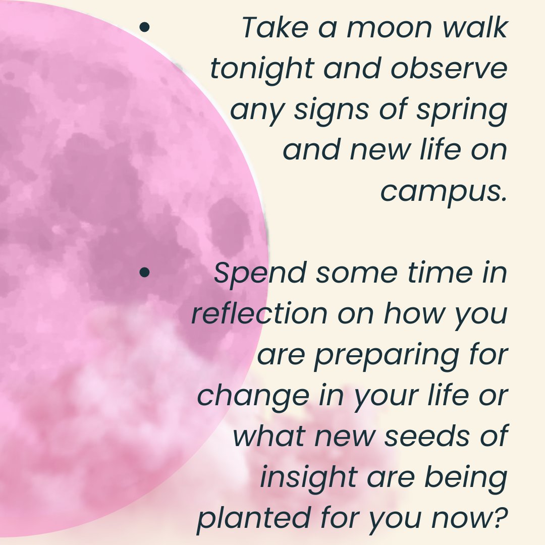 nuHPaW's tweet photo. Pink Moon

Celebrate the full moon this evening with some reflection on what is springing forth in you during this season of growth and beginnings https://t.co/xh3Ug88N0a