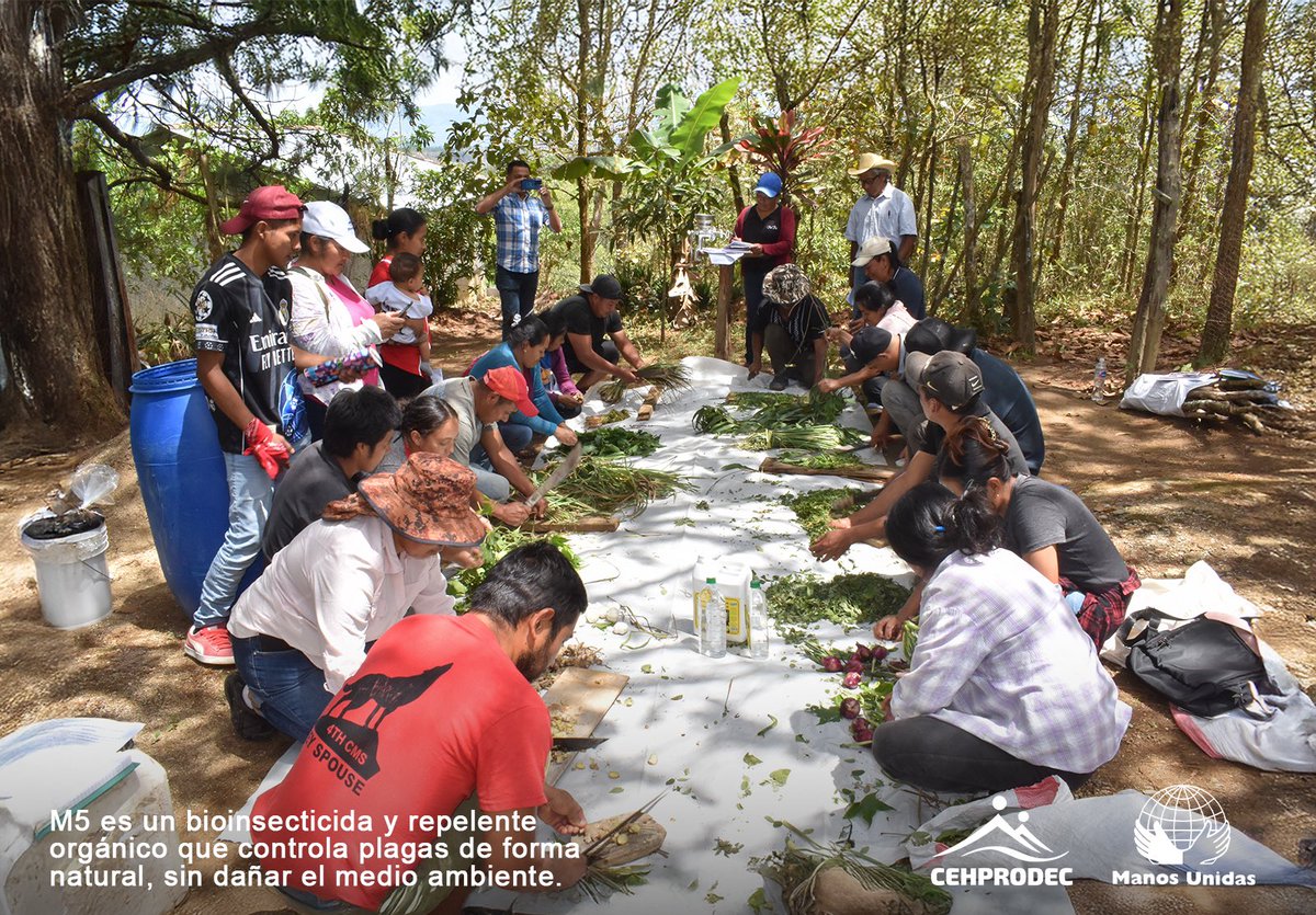 Cehprodechn's tweet photo. 🌱 ¡Transformando comunidades a través de soluciones orgánicas! 🌱

En Las Crucitas, Roblar y El Naranjo, del municipio de Santa María, La Paz, estamos cambiando la perspectiva sobre el uso de químicos en la agricultura. https://t.co/JQAqIfG7lm