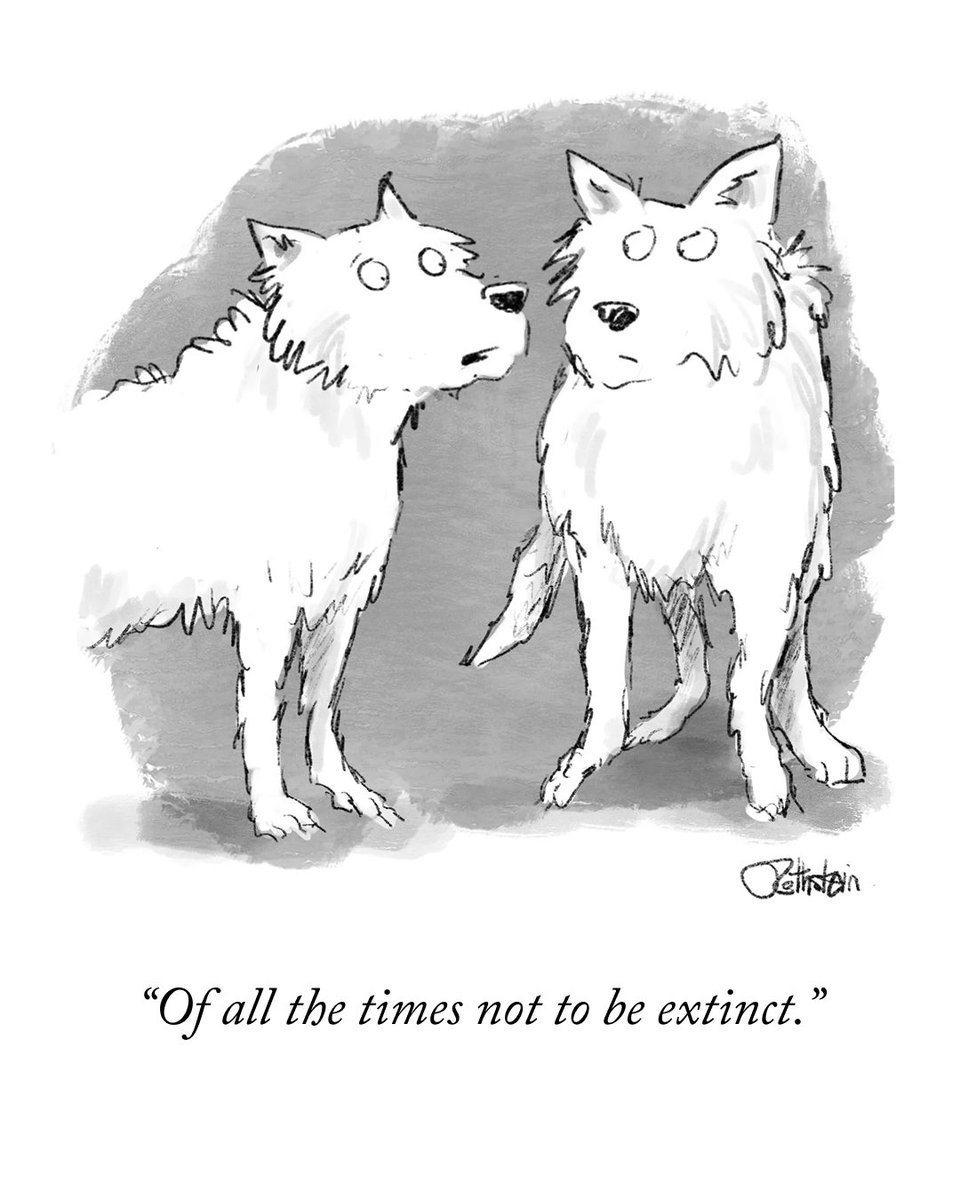 NewYorker's tweet photo. Today’s Daily Cartoon, by Lisa Rothstein. #NewYorkerCartoons https://t.co/B6cL4g4B3e https://t.co/zXsFHmdXPP
