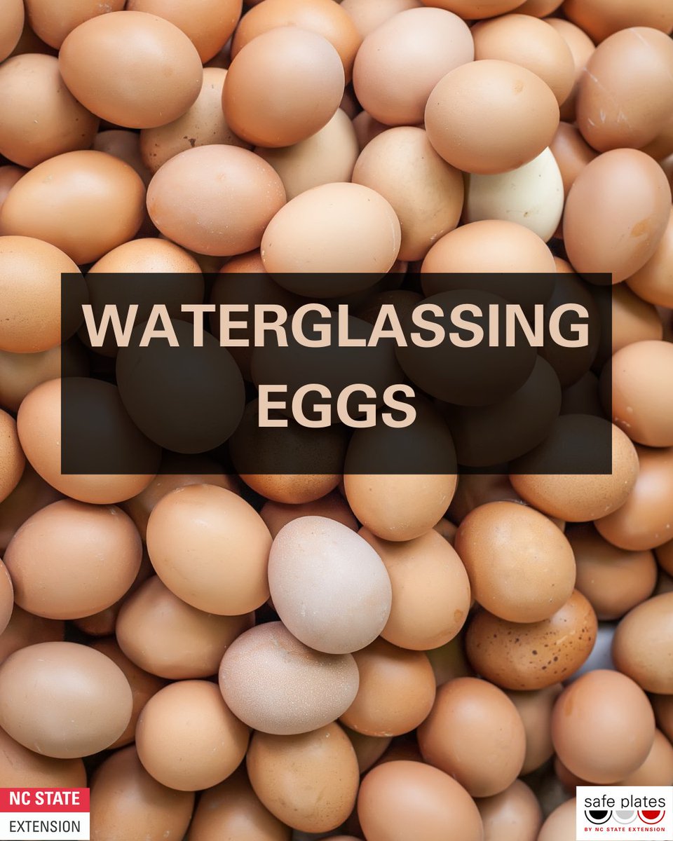 Safe Plates Food Safety Information Center tweet media