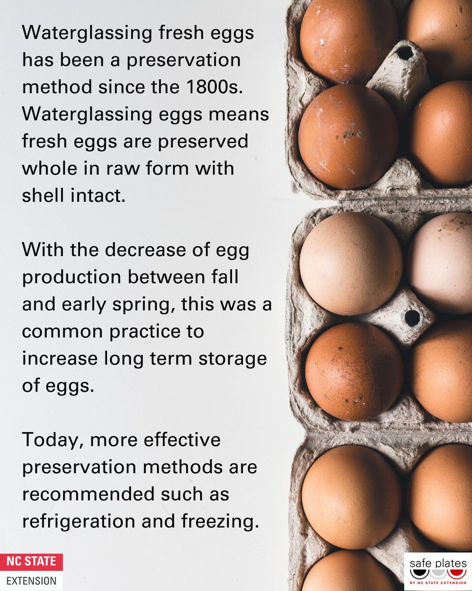 Safe Plates Food Safety Information Center tweet media