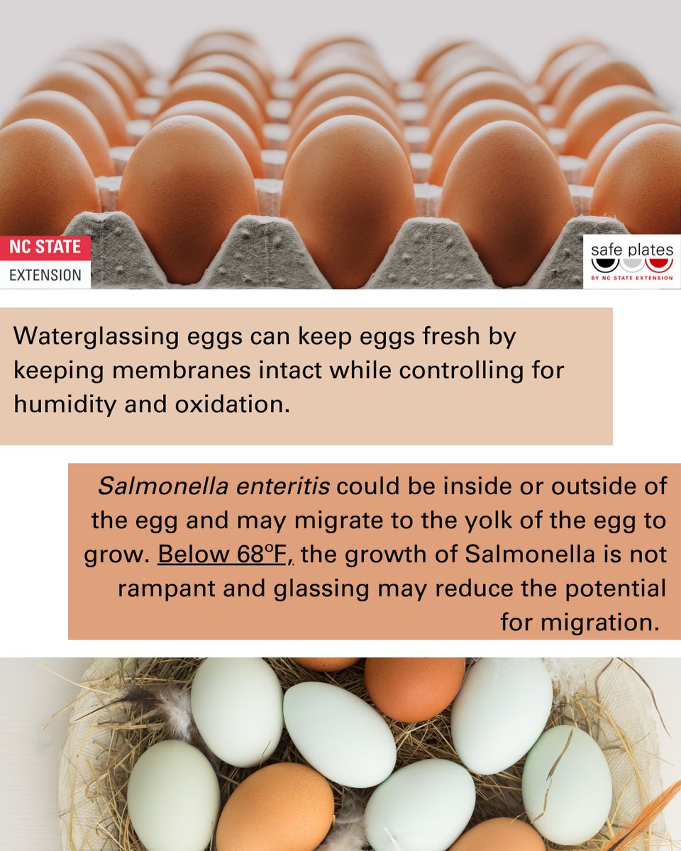 Safe Plates Food Safety Information Center tweet media