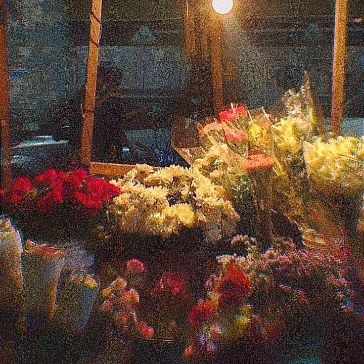 ͏͏͏͏͏͏͏͏    ͏͏͏͏͏͏͏͏ ͏͏͏͏͏͏
͏͏͏͏͏͏ ͏͏͏͏͏͏
    ͏͏͏͏͏͏ ͏͏͏͏͏͏         ͏͏͏͏͏͏ ͏͏͏͏͏͏ ͏͏͏͏͏͏ ͏͏͏͏͏͏                
                
         [ ◉¯] take me back, to where it all began ᡣ𐭩

ㅤ ㅤ ͏͏͏͏͏͏
͏͏͏͏͏͏