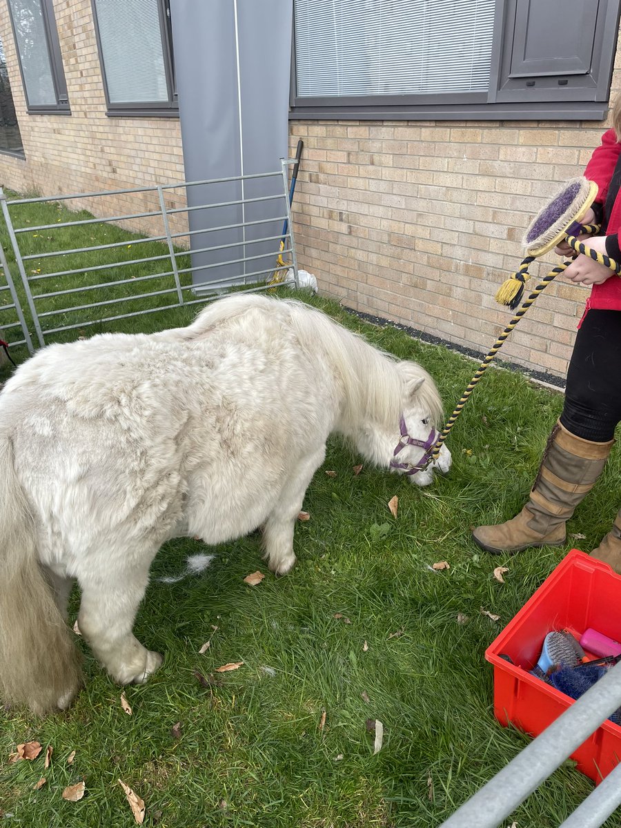 Trudi Marshall tweet media