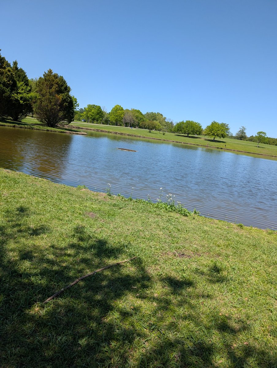 d_bead's tweet photo. A lovely springtime day ☀️💛🌷🌞 #timeforanaturewalk #timeforfun https://t.co/sK1FPeNvRd
