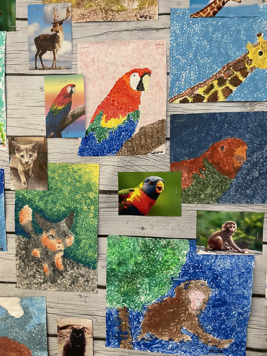 Sarah Black tweet media