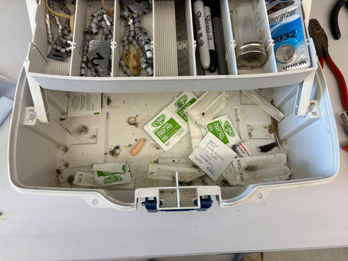 Dan Baldassarre tweet media