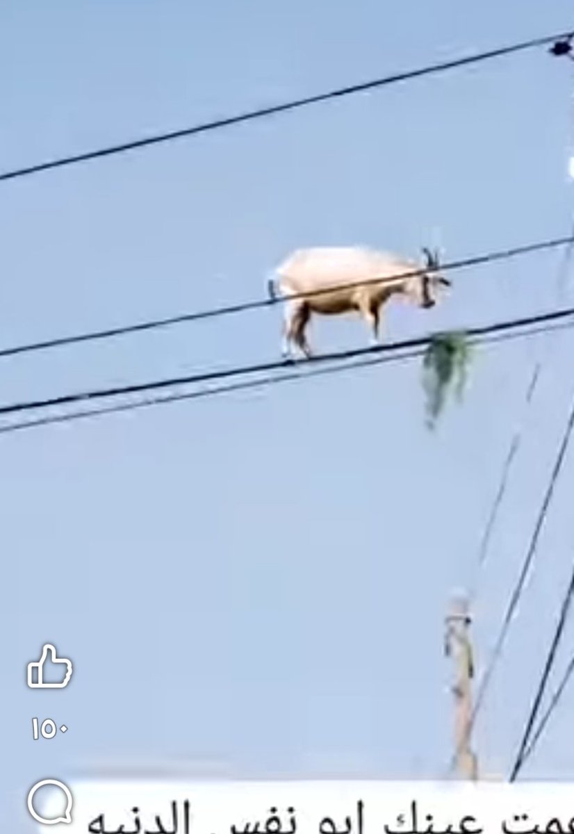 هل صورة حقيقية <a href="/grok/">Grok</a>