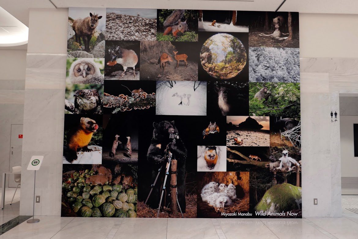 Dale Jorgensen tweet media