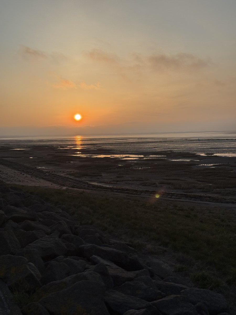 Seth Fiermonti tweet media