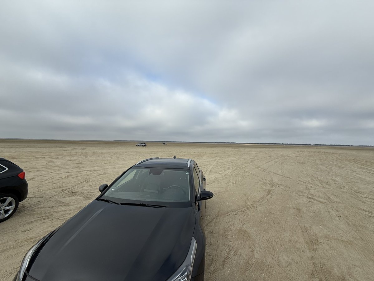 Seth Fiermonti tweet media