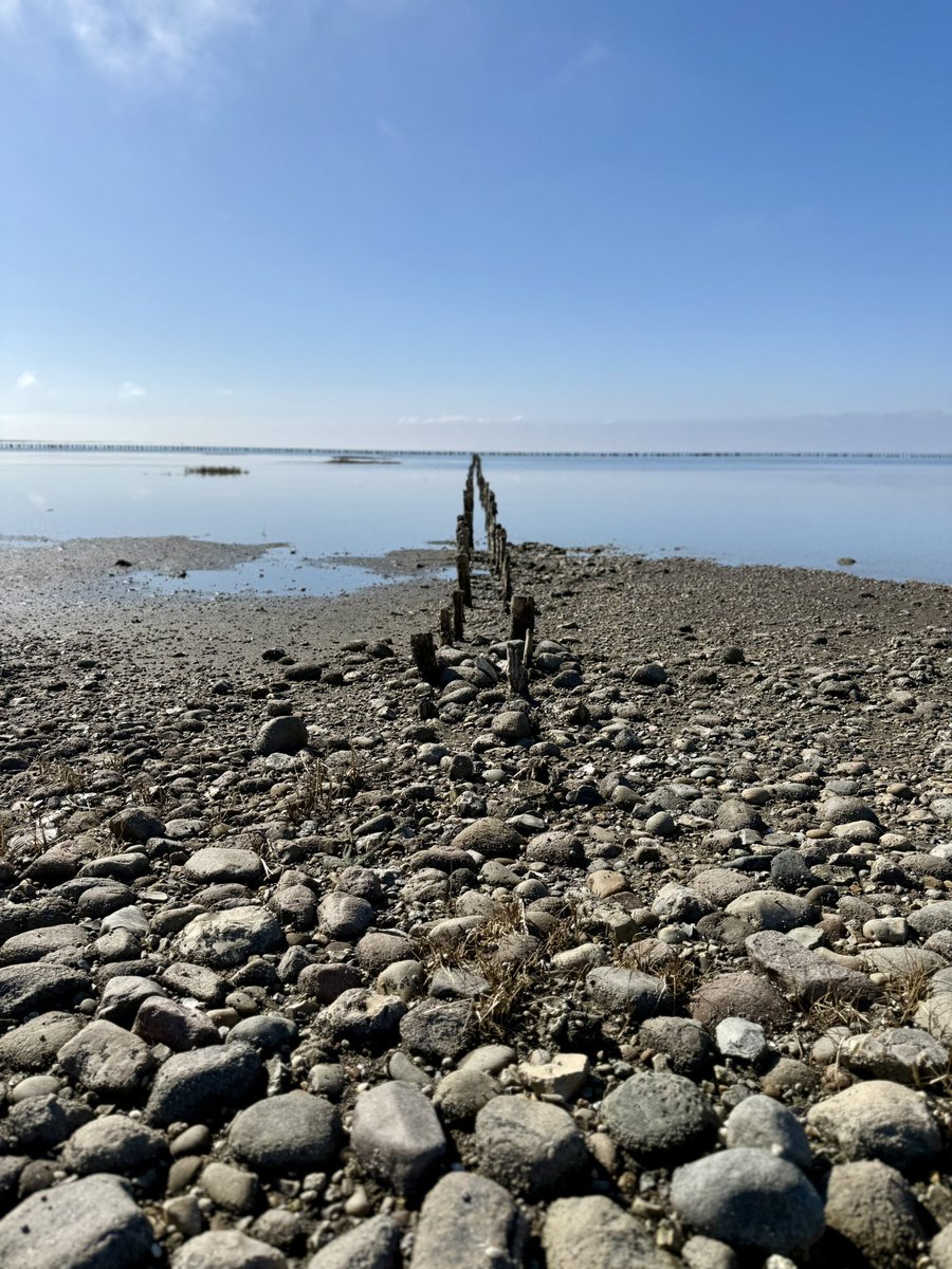 Seth Fiermonti tweet media