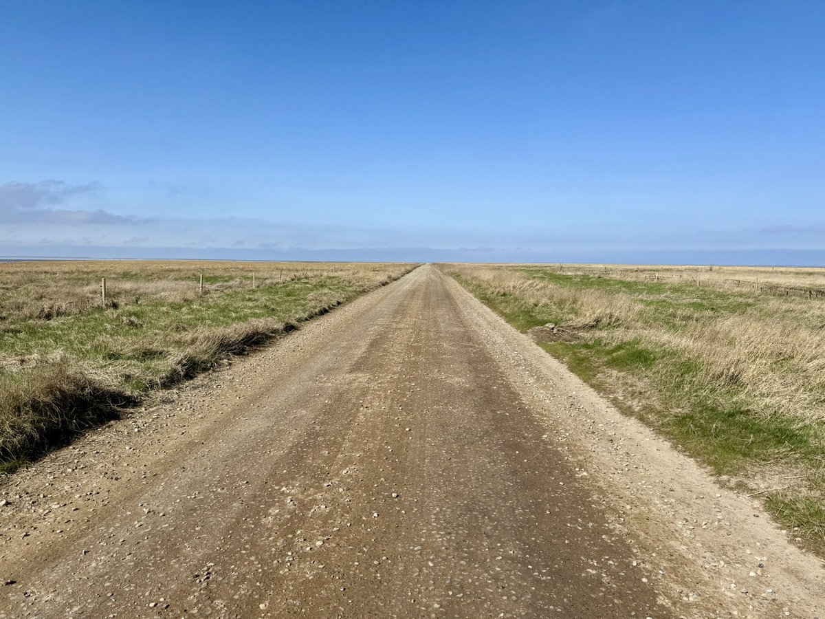 Seth Fiermonti tweet media