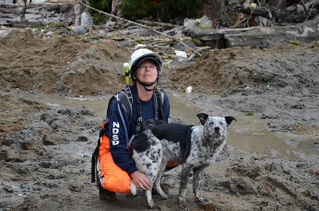 safesolan's tweet photo. Join the Pack:
Retweet if you believe every pet deserves safety
Tag 3 pet lovers who should know about #SafePaws
Drop 🐶 or 🐱 in replies for a surprise!
Together, we'll build a world where no pet lives in fear. The revolution starts now.
Like, RT, Drop your Sol Wallet https://t.co/D5j9XoHfV5