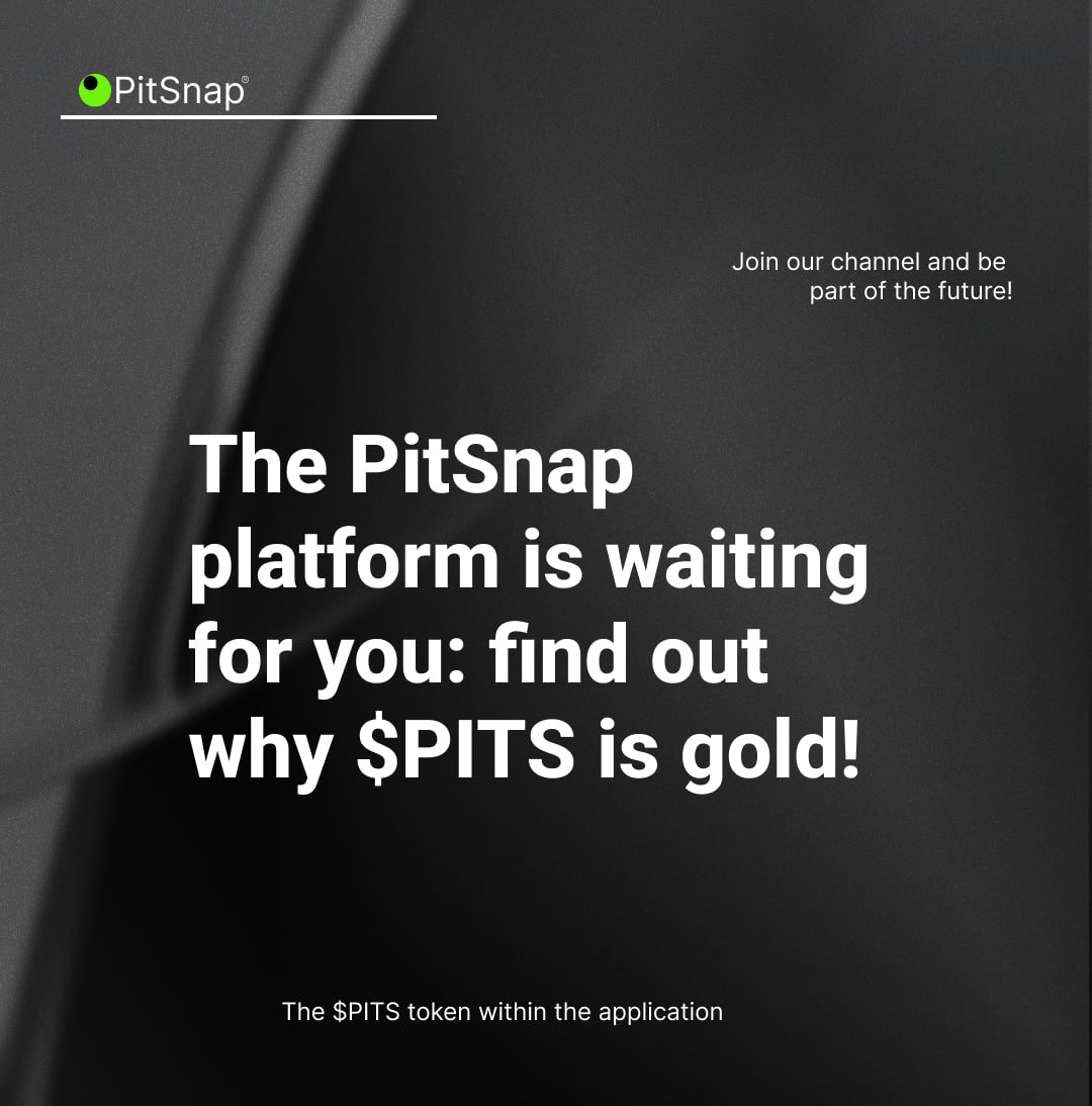 PitSnap tweet media