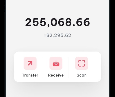 __ayanoo's tweet image. How exactly should this be spent?... 
Like 
Repost
Comment your thought... You might be the winner

Followers only 
#trend #Giveaway #CommentsPlease