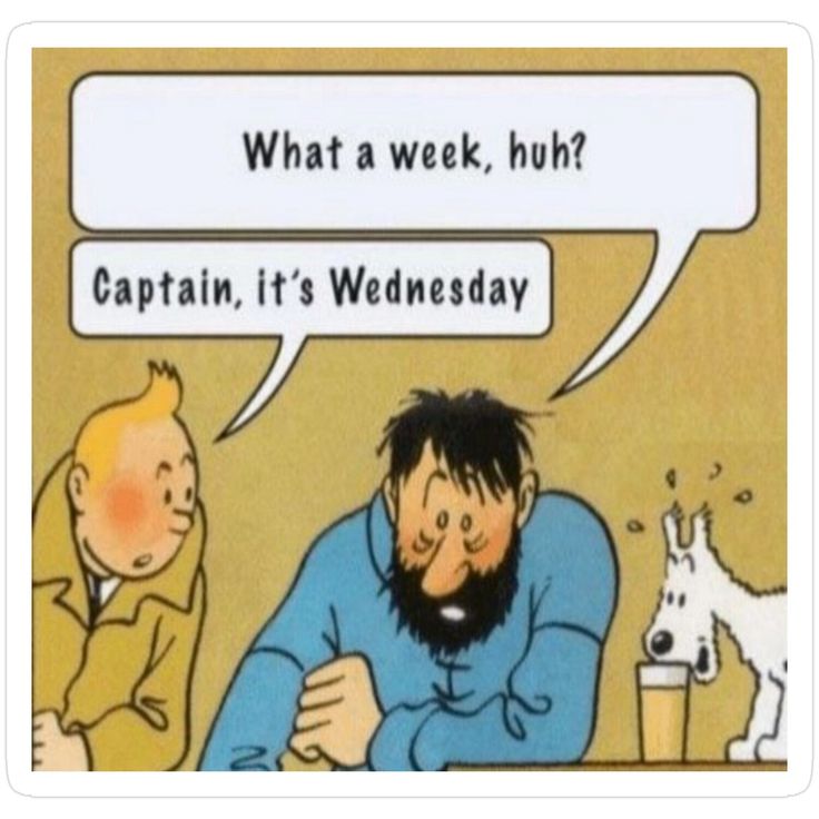 sausalitoferry's tweet photo. True life 😵‍💫 

Who else feels like they're having the longest week ever? <3 

#tintinfan #tintinfans #tintin #sausalitoferry #comicbooks #raretoys #vintagecomics #hergé #toys #toysofinstagram #sausalitoca #sausalito #california #oldcomics #toystore #shopsausalito https://t.co/VW3aWw5Nlz
