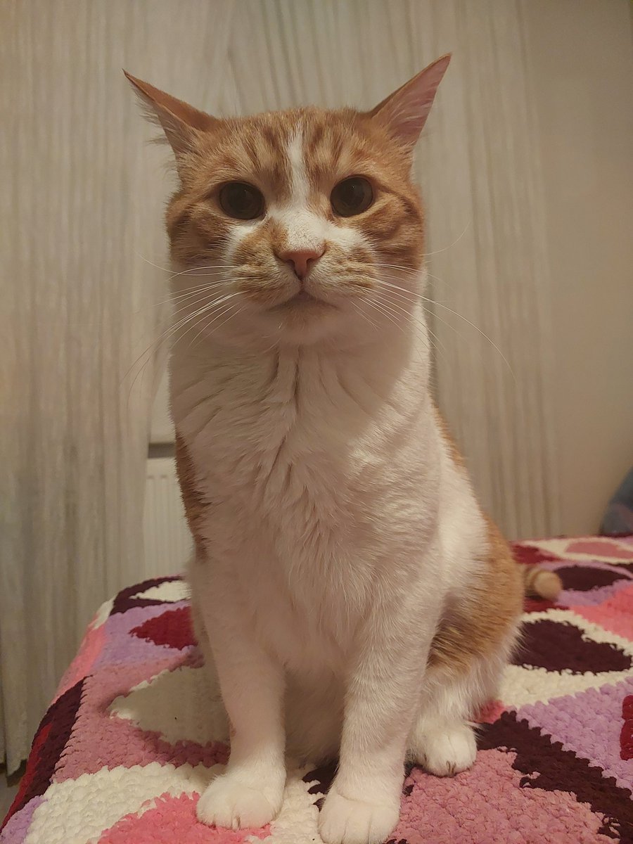 BURDAYIM BE BURDAYIMMMM