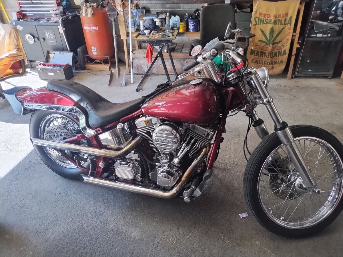DennisYeag47140's tweet photo. @susan2011hw8spj Damn looks like you're ready to hop on the back of my bike https://t.co/M7LoUVCT5U
