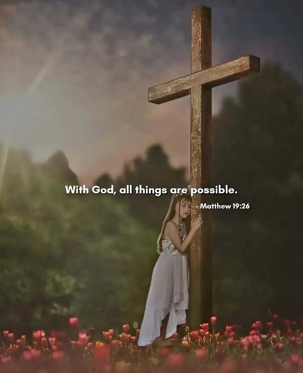 Holy Bible tweet media