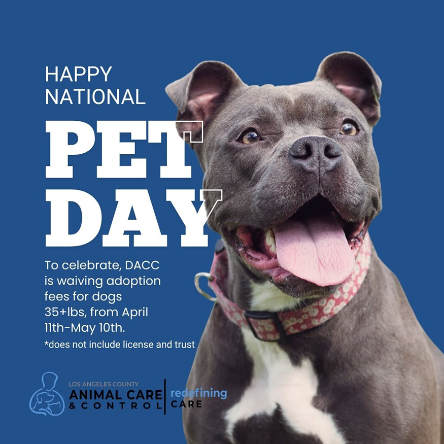 .<a href="/LACountyBOS/">Los Angeles County Board of Supervisors</a> has declared April 11 National Pet Day! To celebrate, <a href="/LACoAnimalCare/">LA Co Animal Care</a> is waiving adoption fees for dogs that are 35+ lbs from April 11-May 10. For more info, visit animalcare.lacounty.gov