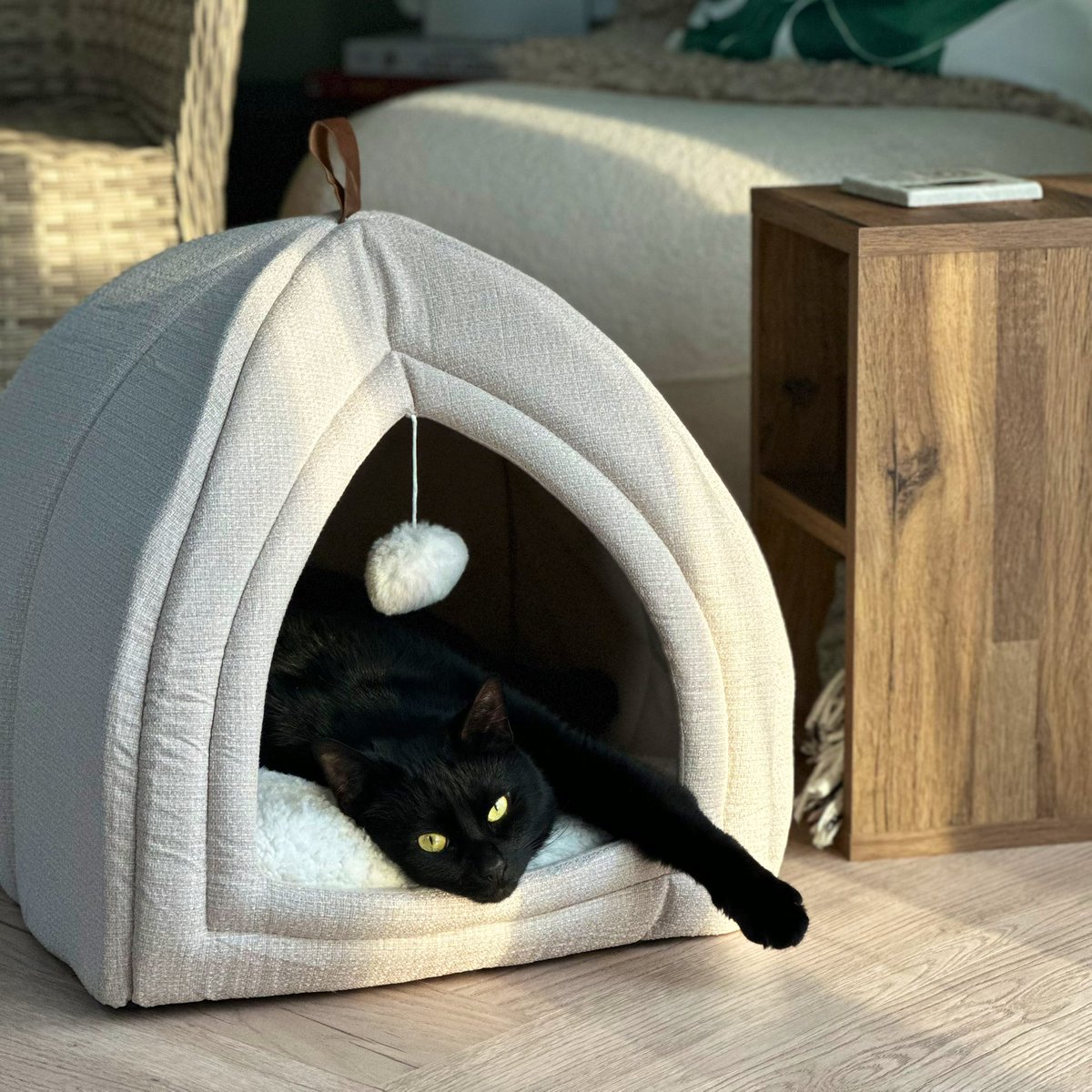 Lucy🧃 tweet media