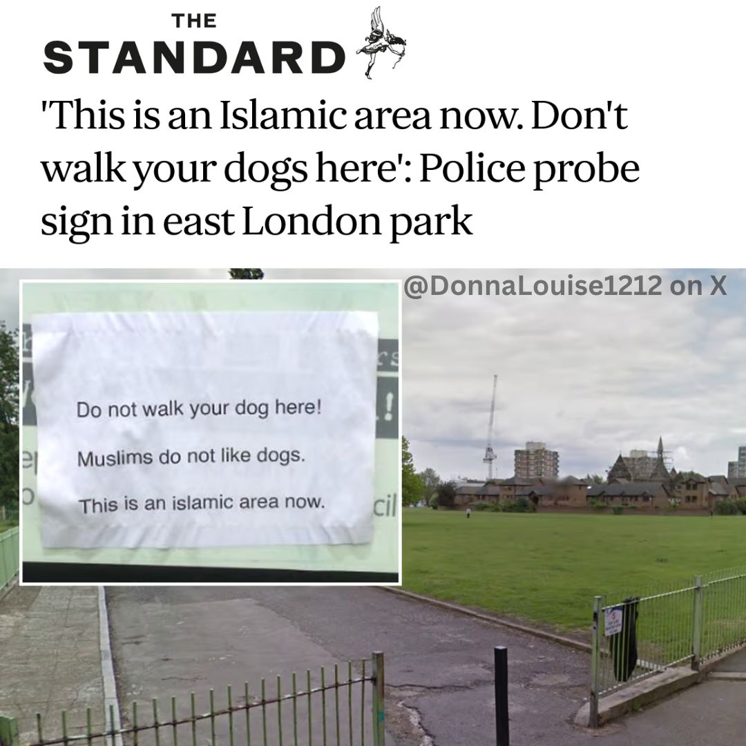 Donna Louise tweet media