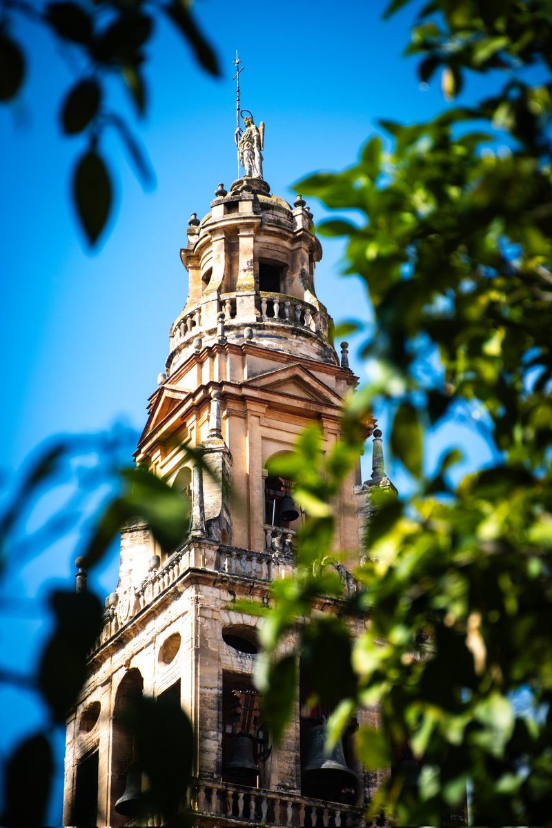 mediacitymod's tweet image. The gardens of the Mezquita-Catedral de Córdoba are a peaceful sanctuary of gentle green decorated with an orchard of orange trees.

postcardsfromamancunian.blogspot.com/2025/04/here-c…

#Seville #Spain #Andalucía #Travel #blog #photography #travelblogger #Cadiz #Cordoba