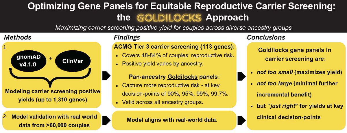 GIMJournal's tweet photo. Finding the carrier screening panel that’s “just right”. Study finds Goldilocks assays offer up to a two-fold improvement over Tier 3 gene lists for modeled genetic ancestries #carrierscreening #geneticcounseling @DrLeslieBurnett https://t.co/8NgLfUXVFM https://t.co/VqGG4zw8Sr