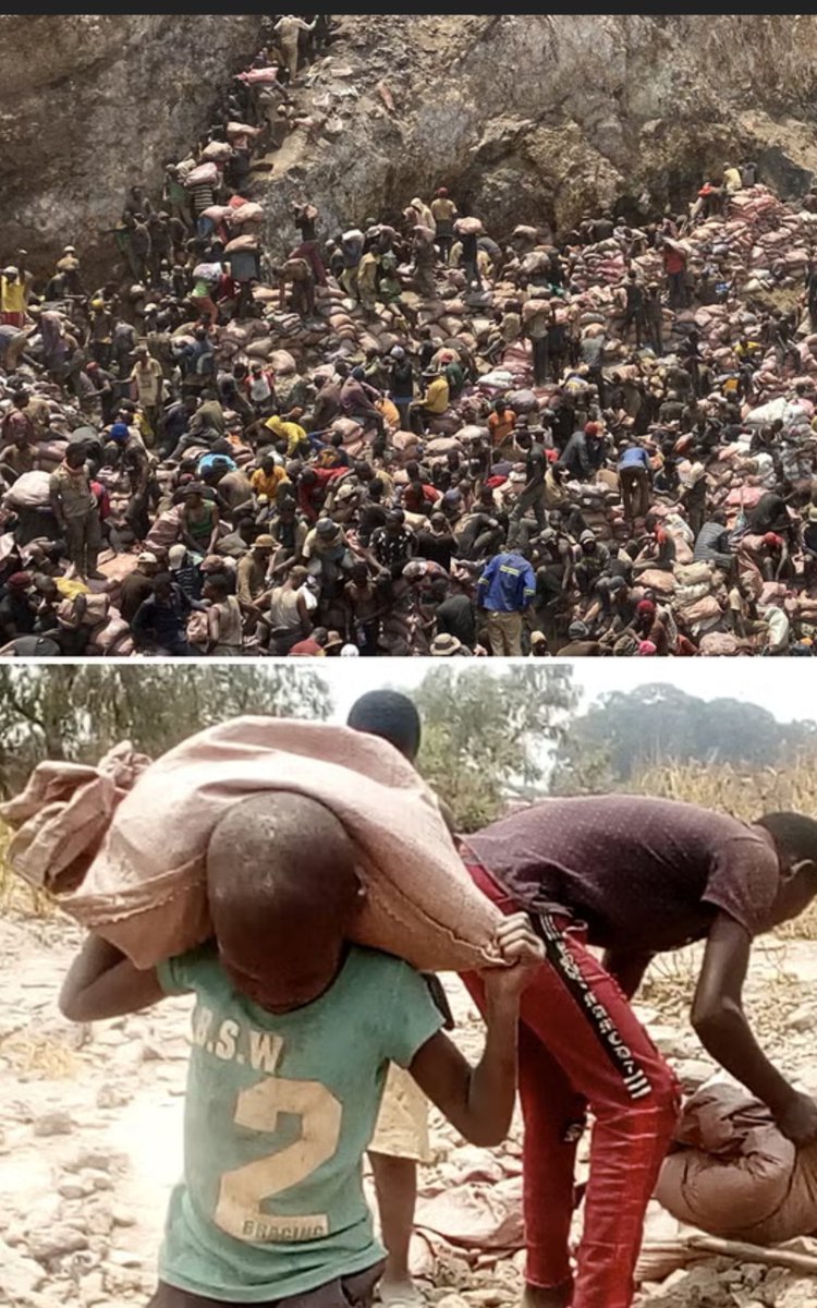 juneslater17's tweet photo. When you hear the phrase 
 'sustainability ' this is where it starts  slave Labour, putrid condition and an early death https://t.co/KLlAxMK0xR