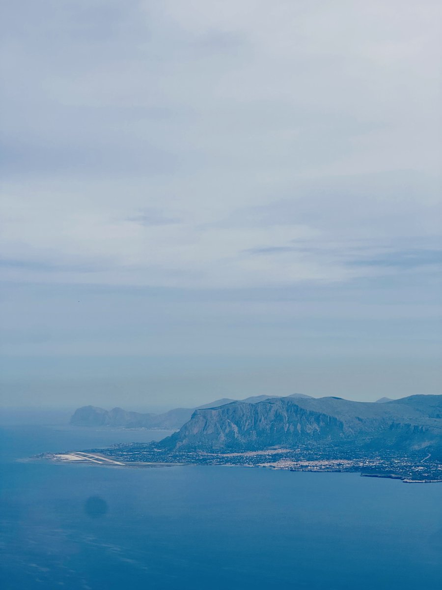 Alejandro Muñiz Delgado tweet media