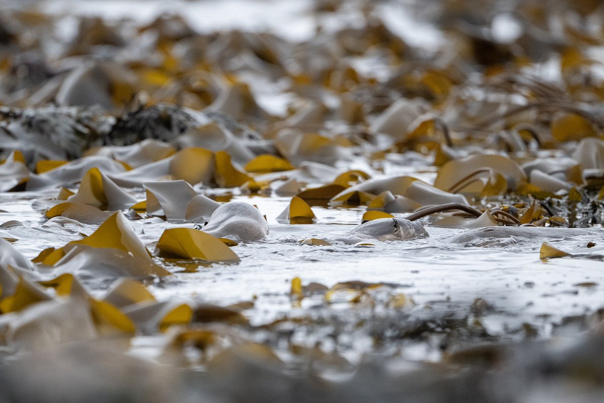 John Moncrieff tweet media