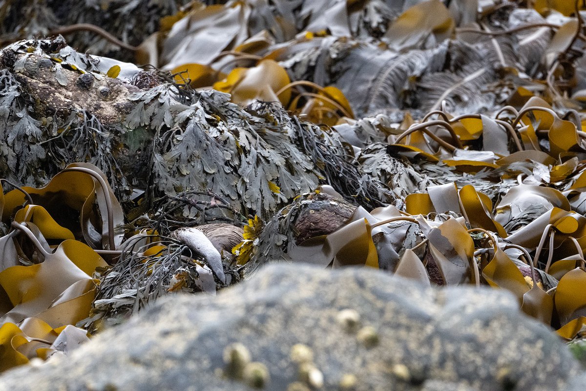 John Moncrieff tweet media