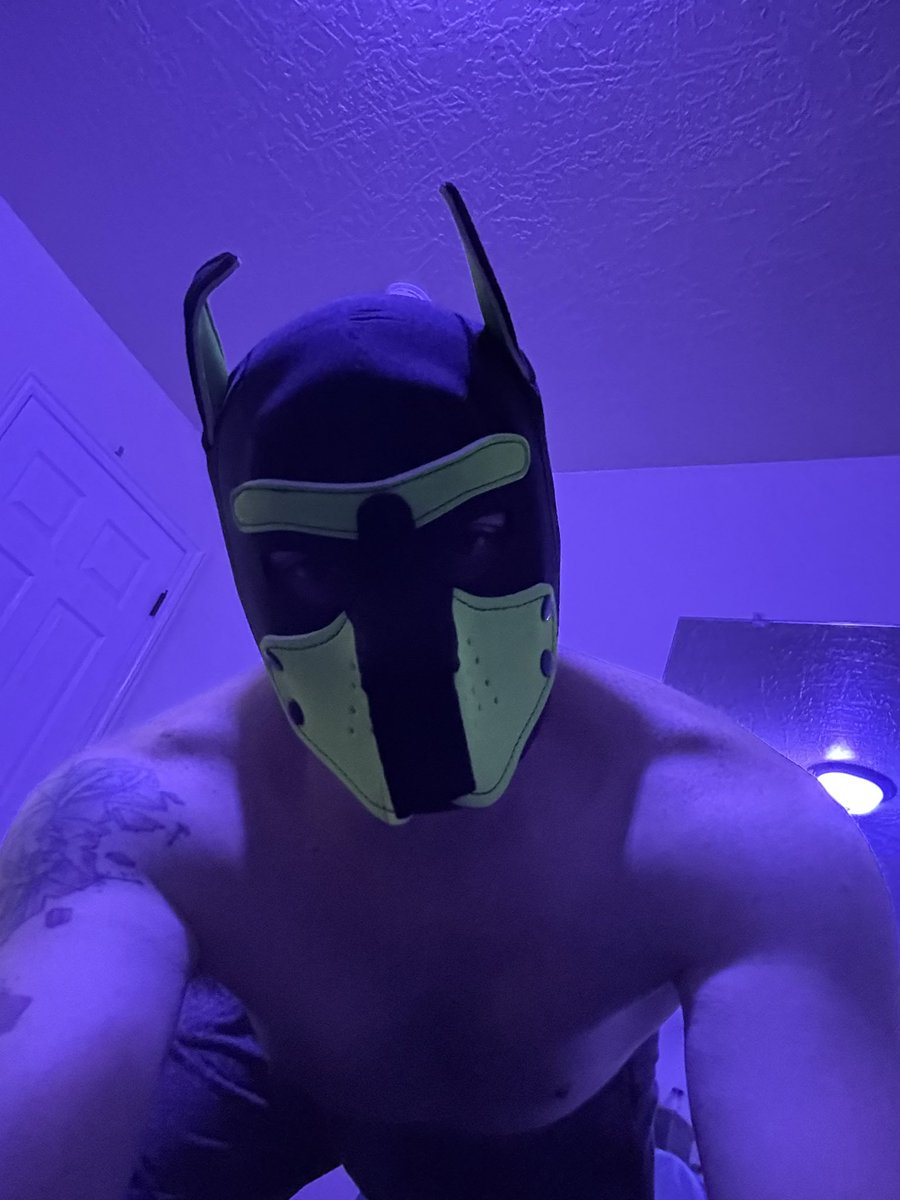 Have you seen my bone mister? 🦴😈