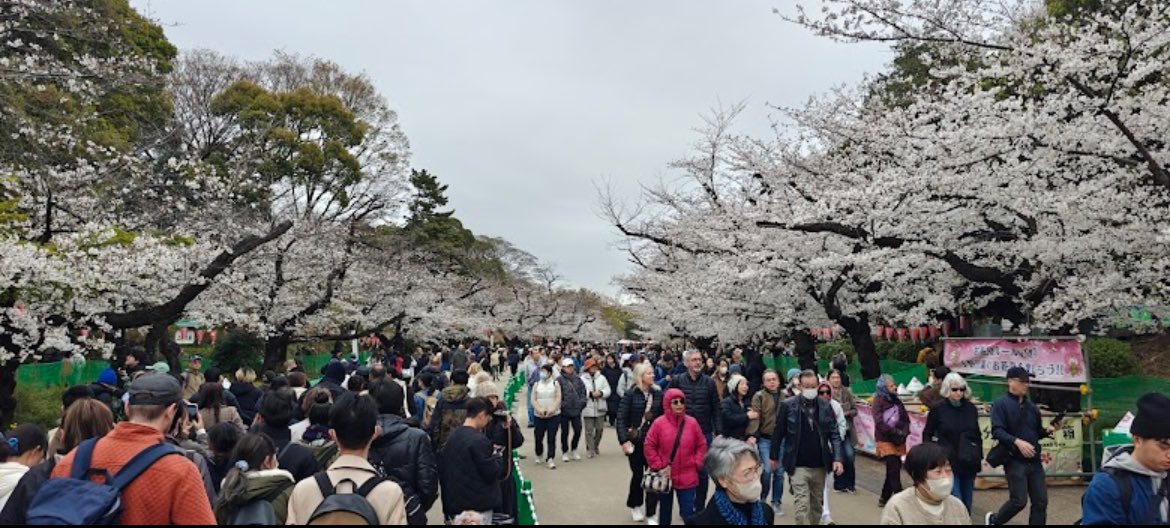 Dale Jorgensen tweet media