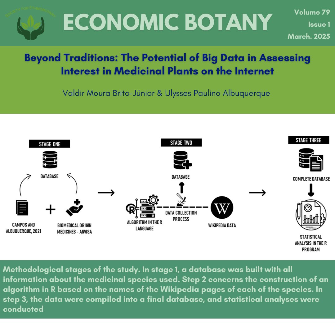 SEBotany's tweet photo. Don't miss this article in Economic Botany's December issue! "Beyond Traditions: The Potential of Big Data in Assessing Interest in Medicinal Plants on the Internet"
Go to https://t.co/RFFh9iWXMl to access this article and many more!
#sebotany #ethnobotany https://t.co/YK4t3NCILc