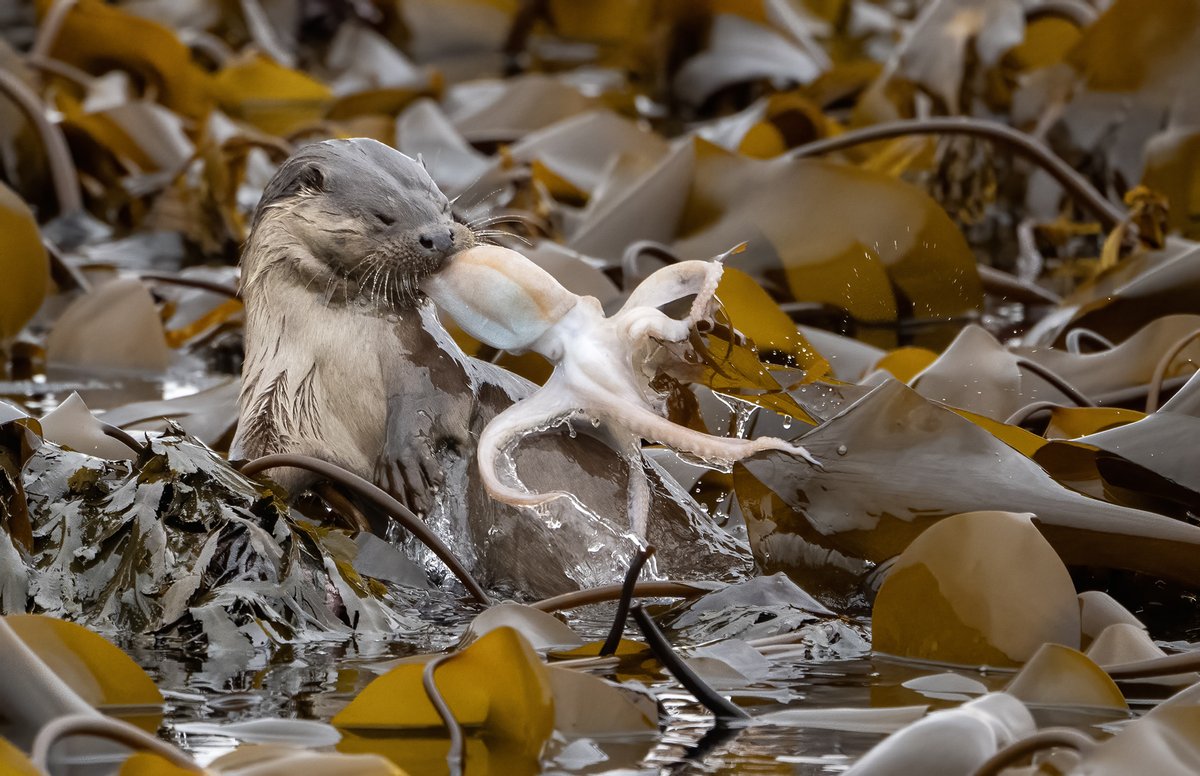 John Moncrieff tweet media