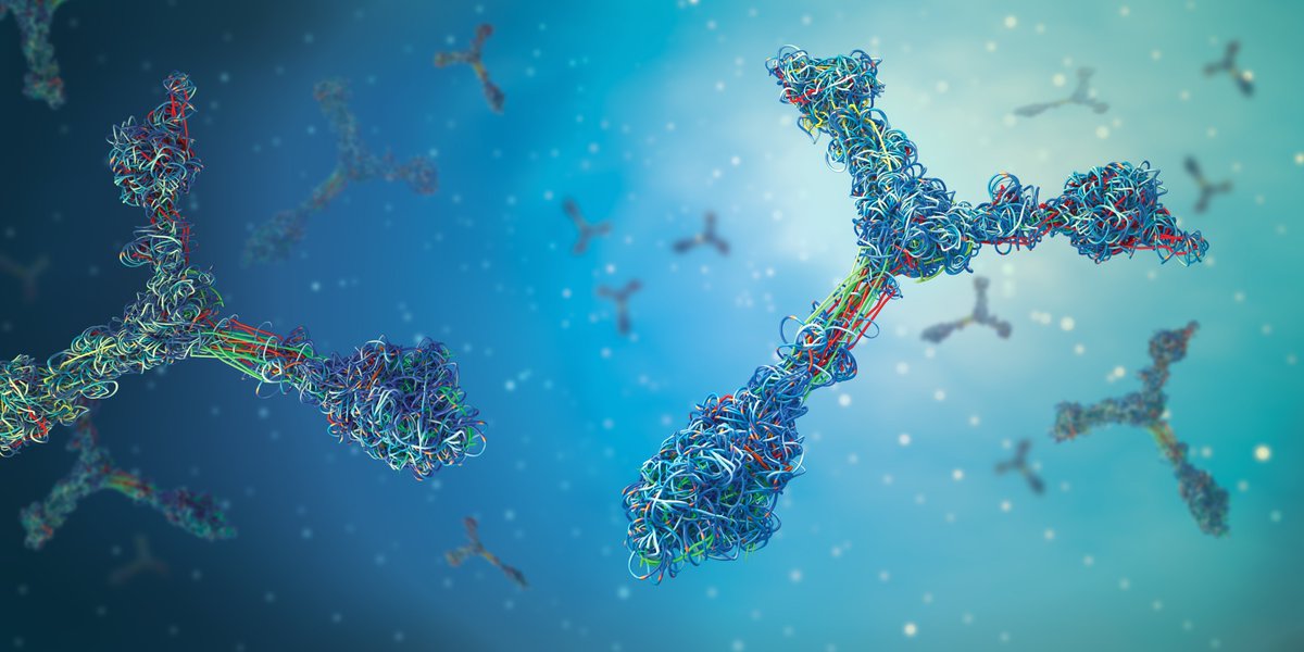 Efficacy of Antibody Clones in Diagnosing #MerkelCellCarcinoma: jnccn360.org/advanced-skin-… #JNCCN360 #skcsm #mcc