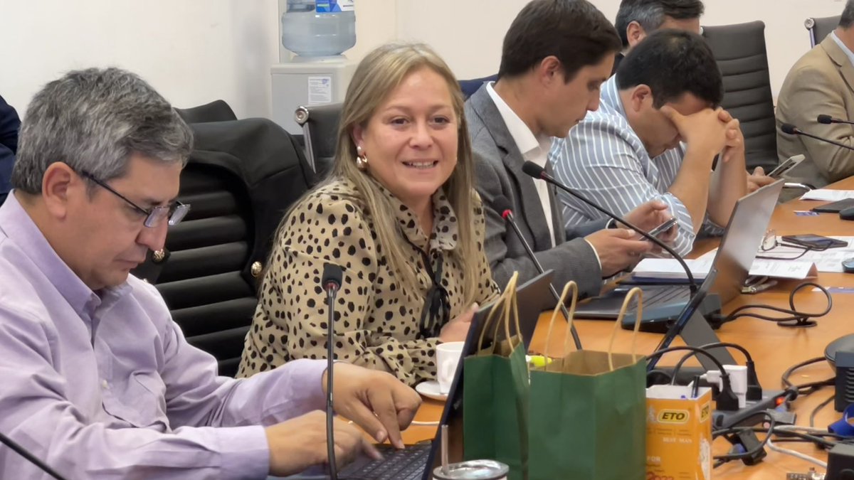 Sesiona a esta hora la comisión de Desarrollo Social y Seguridad, presidida por la consejera regional <a href="/lorenajardua/">Lorena Jardua Campos</a>.
En la ocasión fue invitada la Fundacion “Centro Educativo el Huemul” de Pinto a exponer su situación actual y la labor que desarrollan.