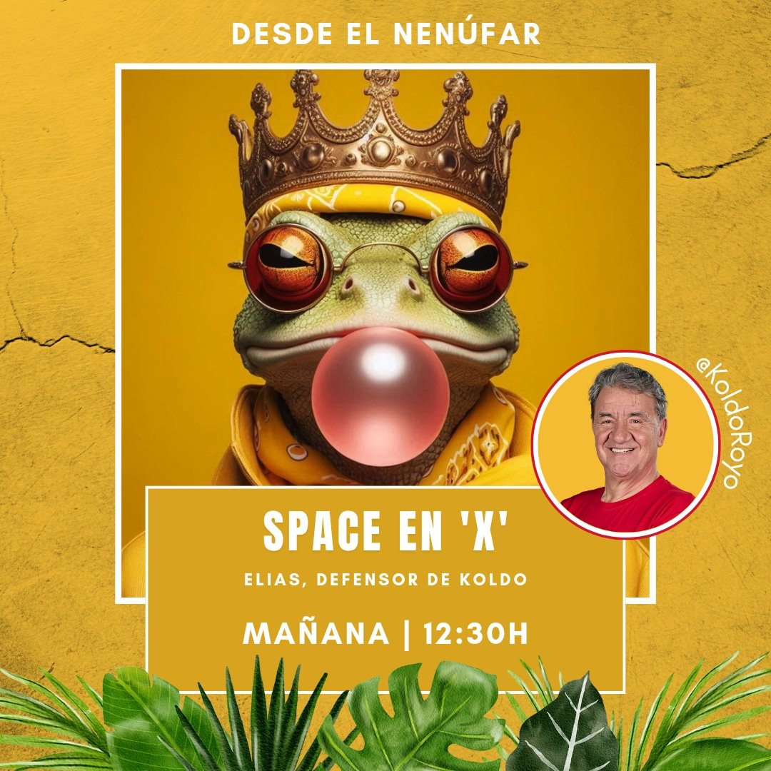 🔺️MAÑANA | 'Desde el Nenúfar' 

▪︎ A las 12:30h del medio día, estará con nosotros Elías, defensor de Koldo Royo en #Supervivientes2025 para hacer un repaso del concurso del Chef.

▪︎ Deja en este post tu pregunta y mañana se la lanzamos en tu nombre. 

¡NO TE LO PIERDAS!