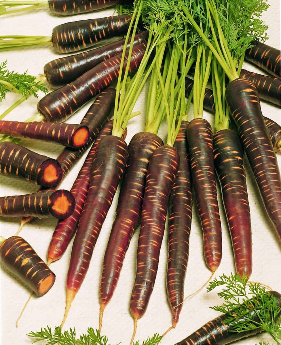 April's Winnipeg Gardener newsletter is here! Look inside for growing tips, cost comparisons, spring flowers, super healthy edibles to grow, helpful resources, and more - it's FREE to read! winnipegfreepress.com/briefings/apri…

#gardeningtips #newsletter #veggies #Flowers #Tariffs #BookReview