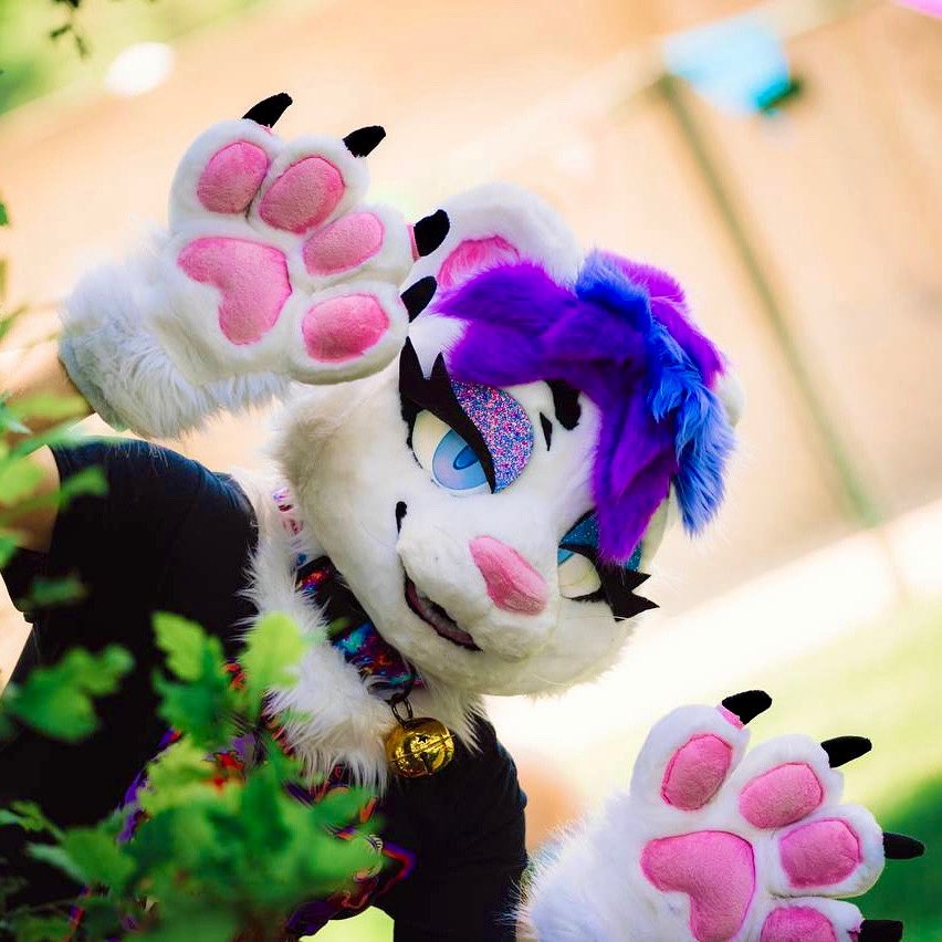 Alexander Rivercat tweet media