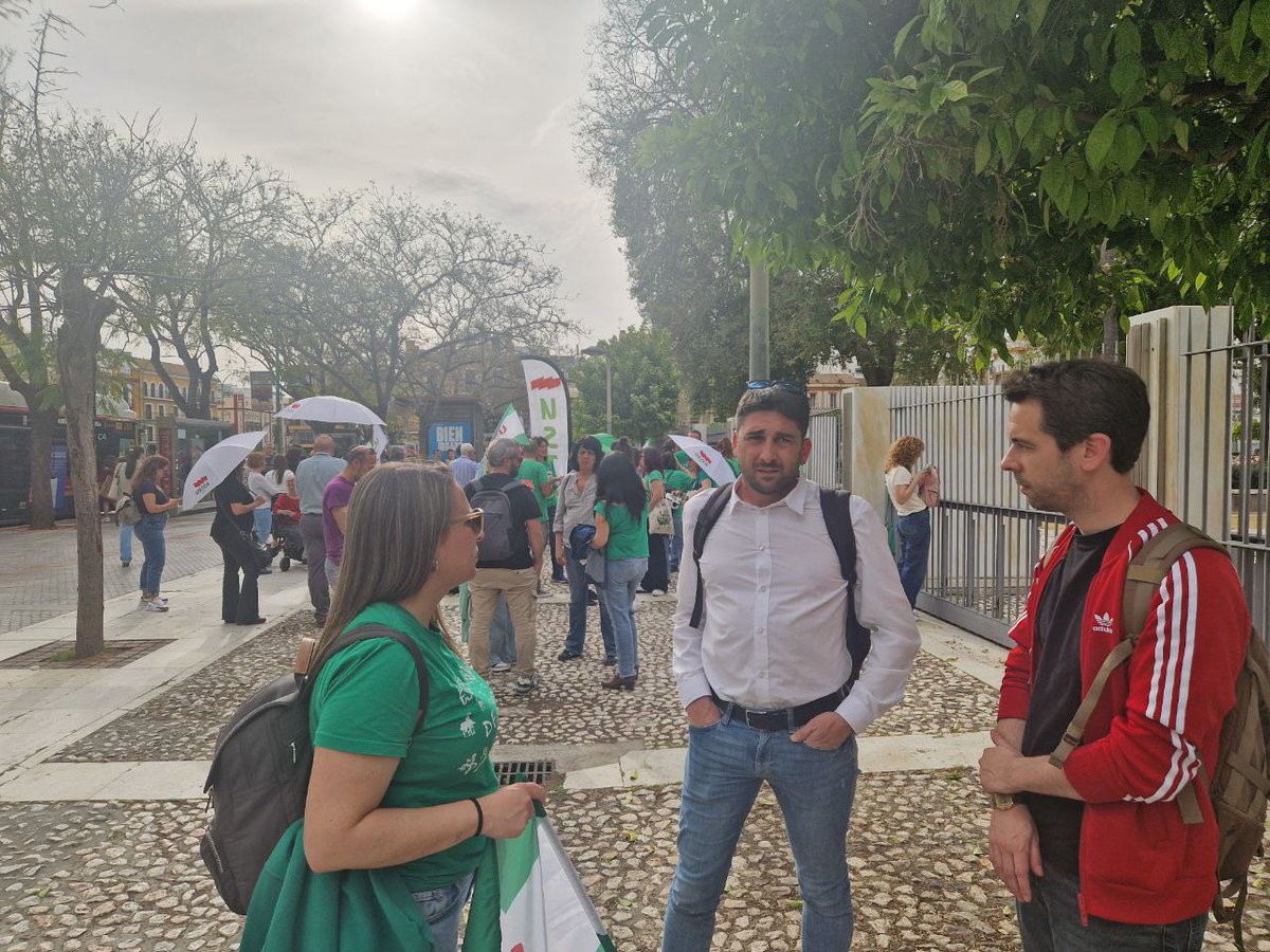 Ismael Sánchez Castillo 🔻 tweet media