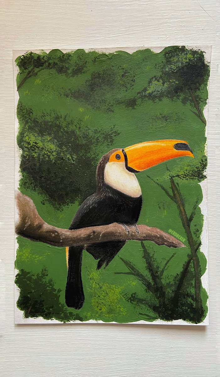 Toucan 🌿

Fait avec des pastels sec (le toucan) et de l’acrylique (fond)

N’hésitez pas à ❤️💬 🔁 pour me soutenir et ça me fais plaisir